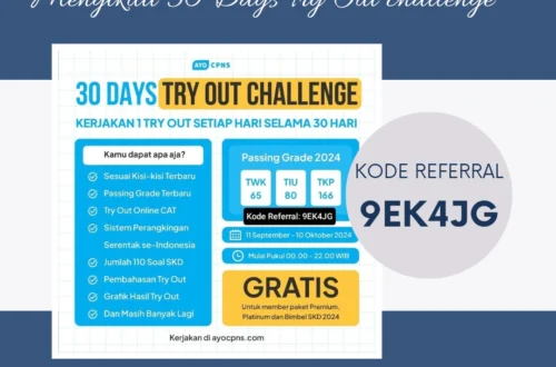 pengalaman mengikuti 30 days try out challenge